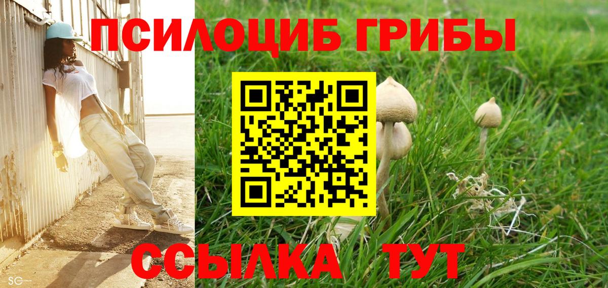 Галлюциногенные грибы Psilocybe Чебаркуль